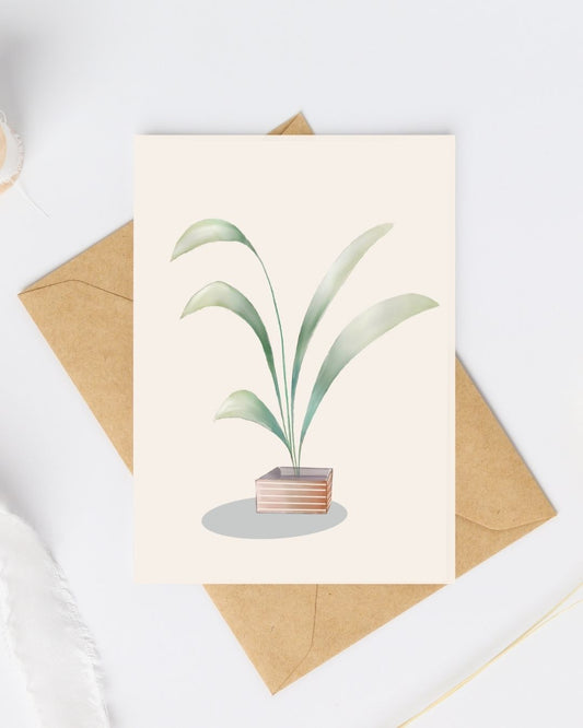 Postkaart - Tropische plant